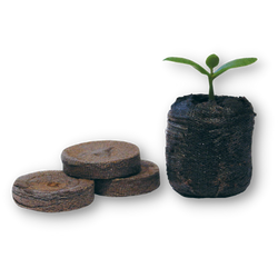 plantestart-thumb