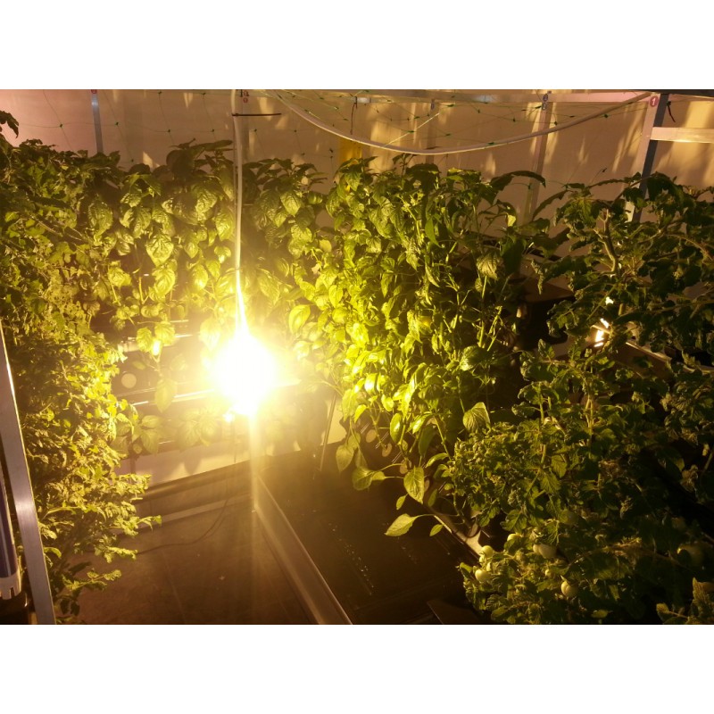 790___vertical-hydroponic-system-four-walls-small-4sm.jpg