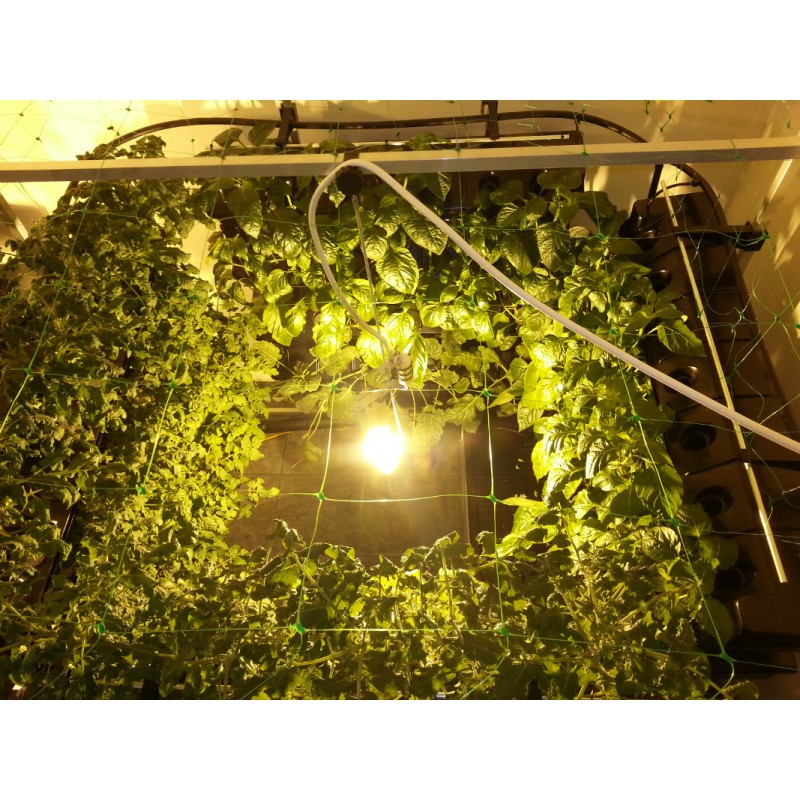 791___vertical-hydroponic-system-four-walls-small-4sm.jpg