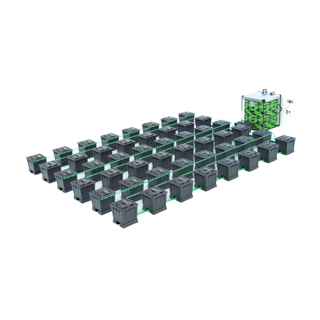 Alien-–-Rain-48-Pot-30L.png