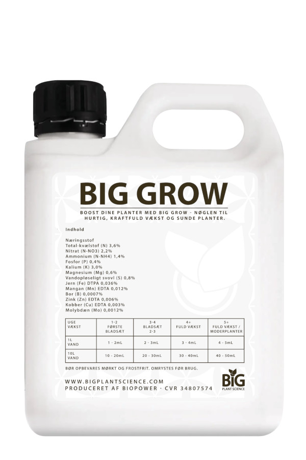 Back-Dunk-1L-BiG-2024-rasterized-Grow-01.jpg