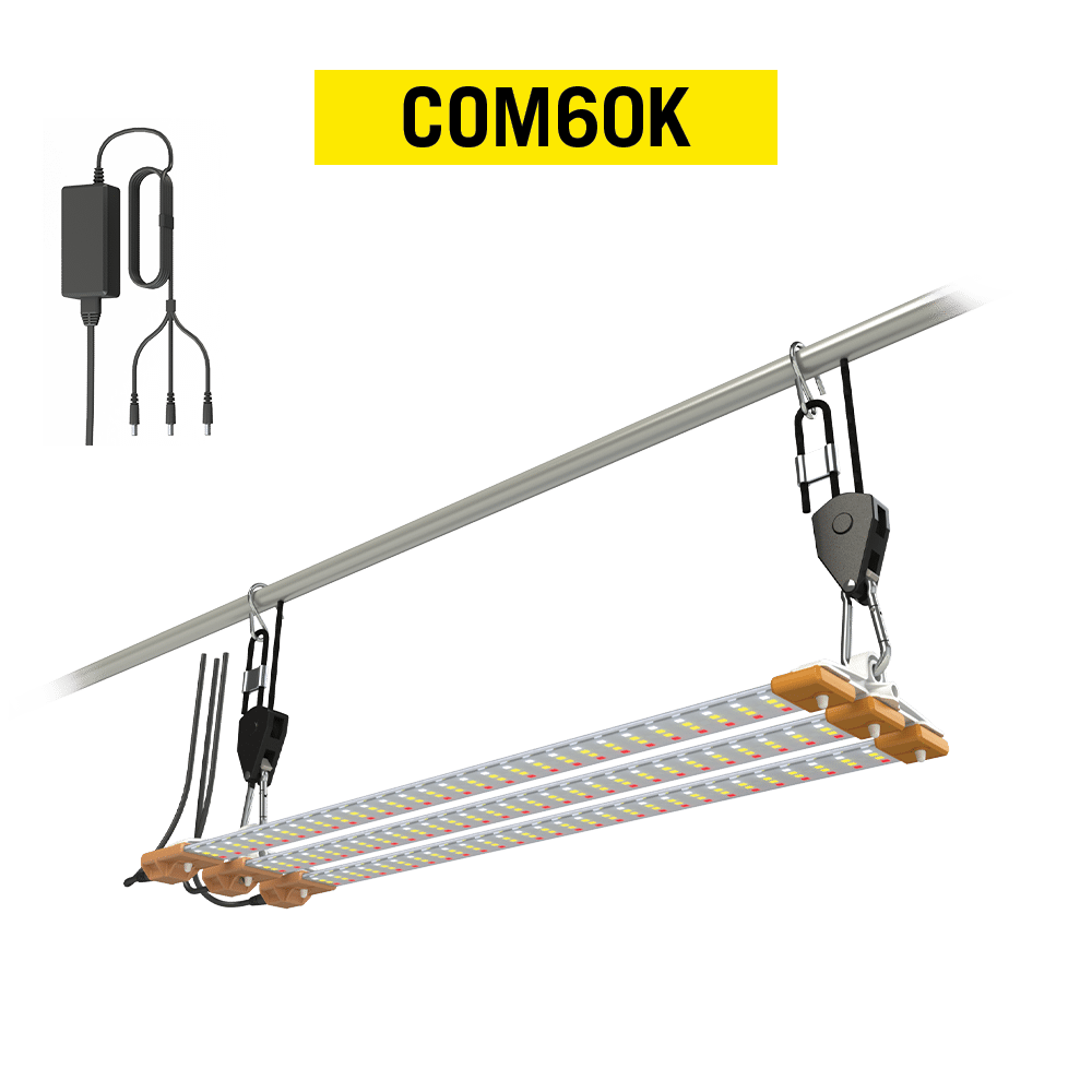 COM60K