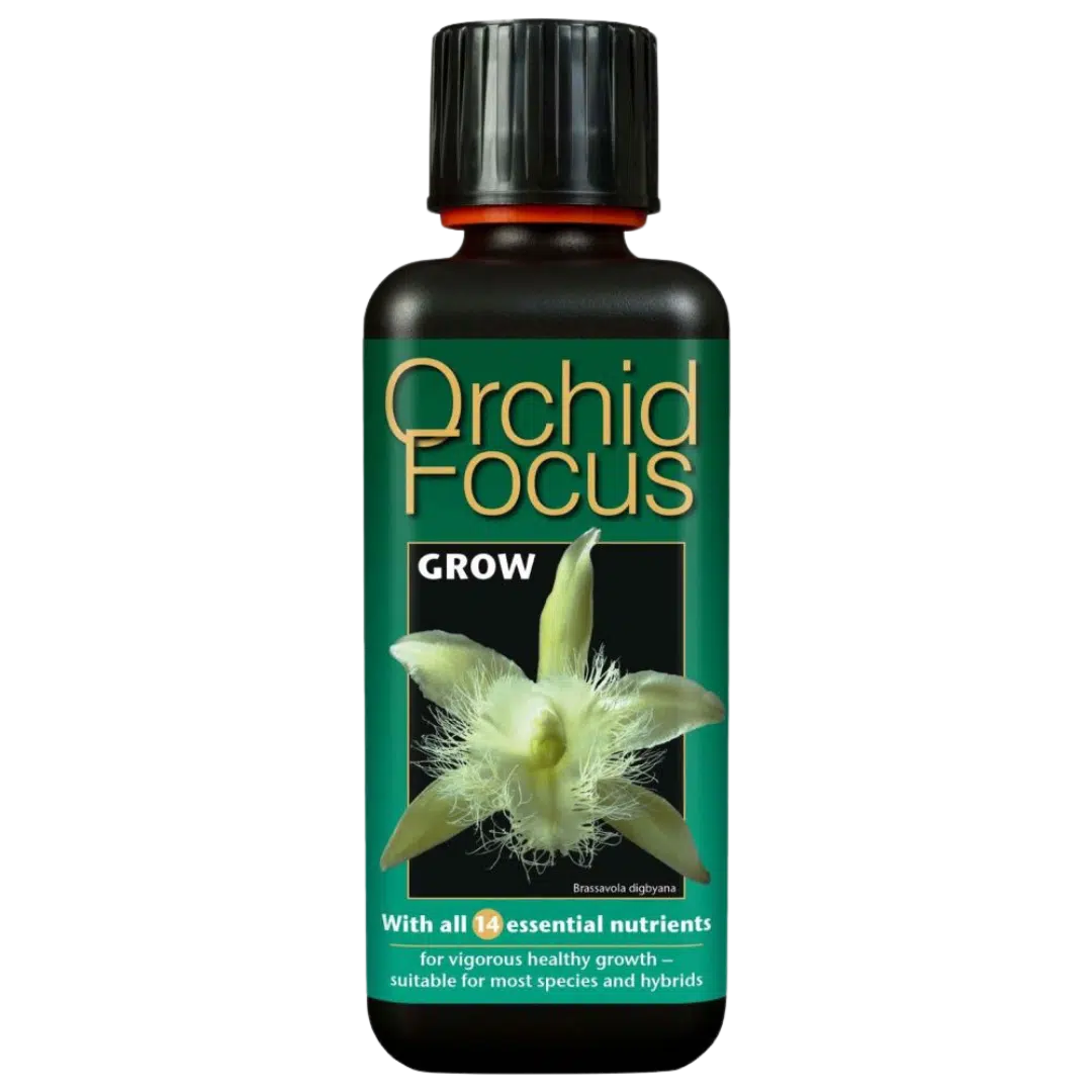 Growth-Technology-–-Orkide-Focus