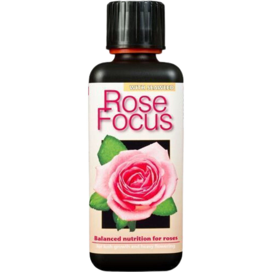 Growth-Technology-–-Rose-Focus.png