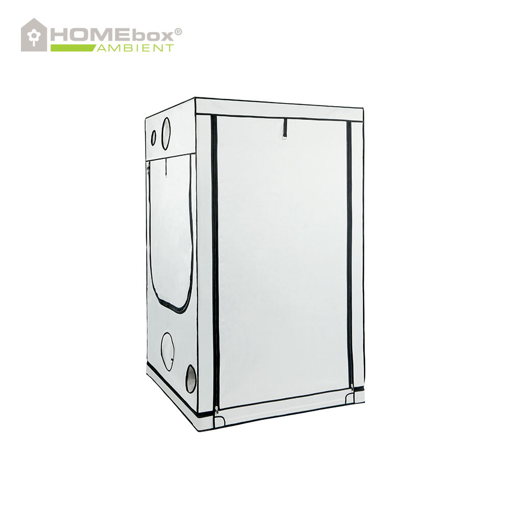 HOMEbox_Ambient_Q120_3.jpg