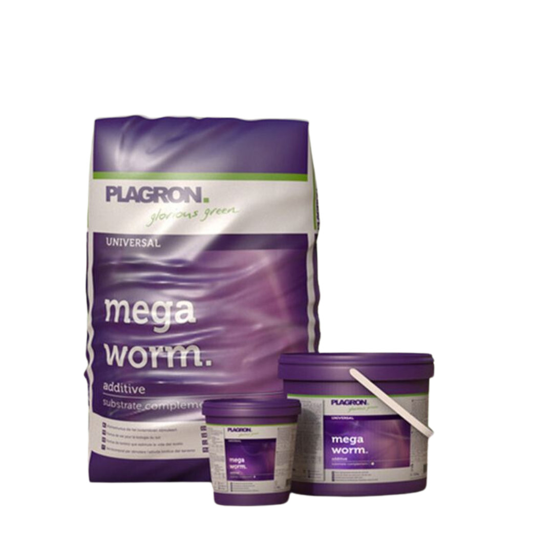 Mega-Worm-–-Plagron.png