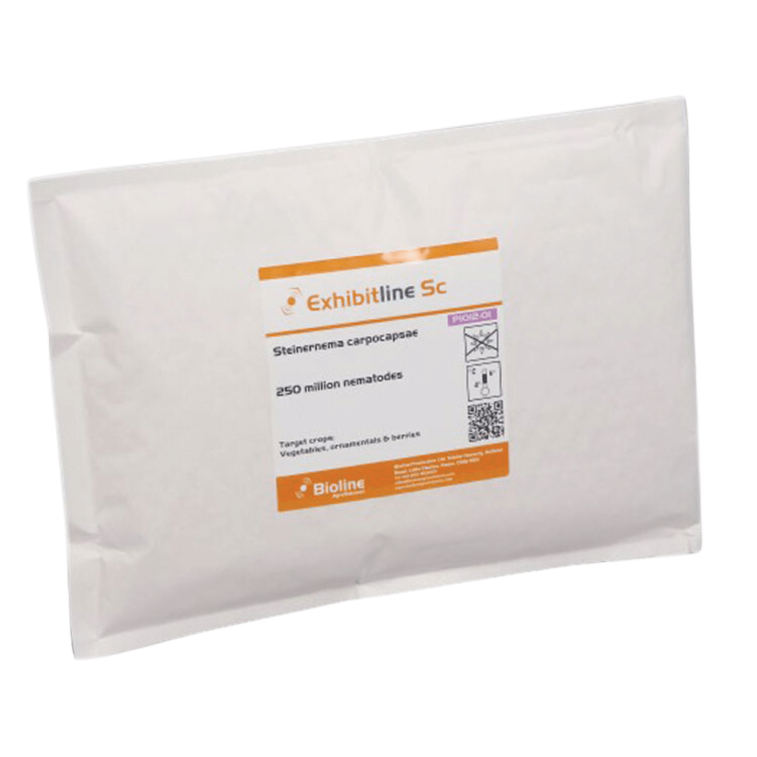 NematoderEXHIBITLINE-PH-3mio-–-mod-snegle