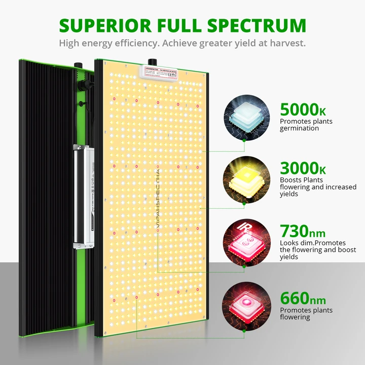 P2000ledgrowlight3_720x.webp