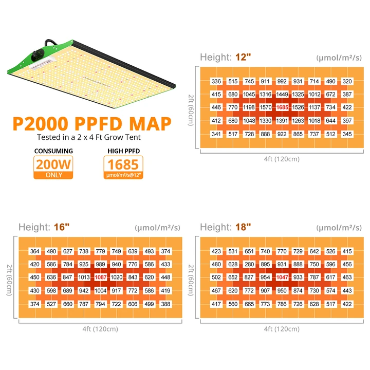 P2000ledgrowlight4_720x.webp