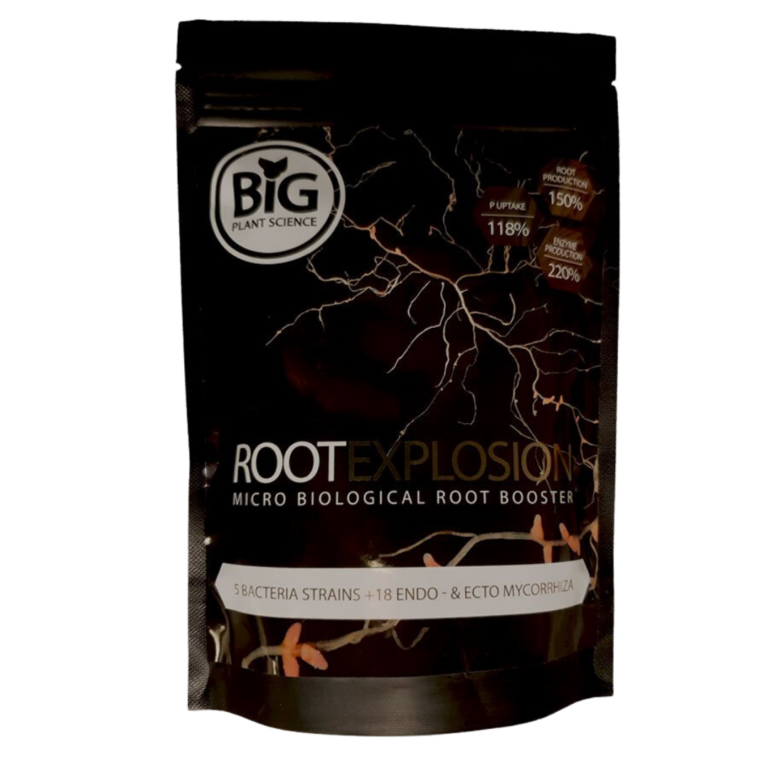 ROOT-EXPLOSION-–-Big-Plant-Sceince