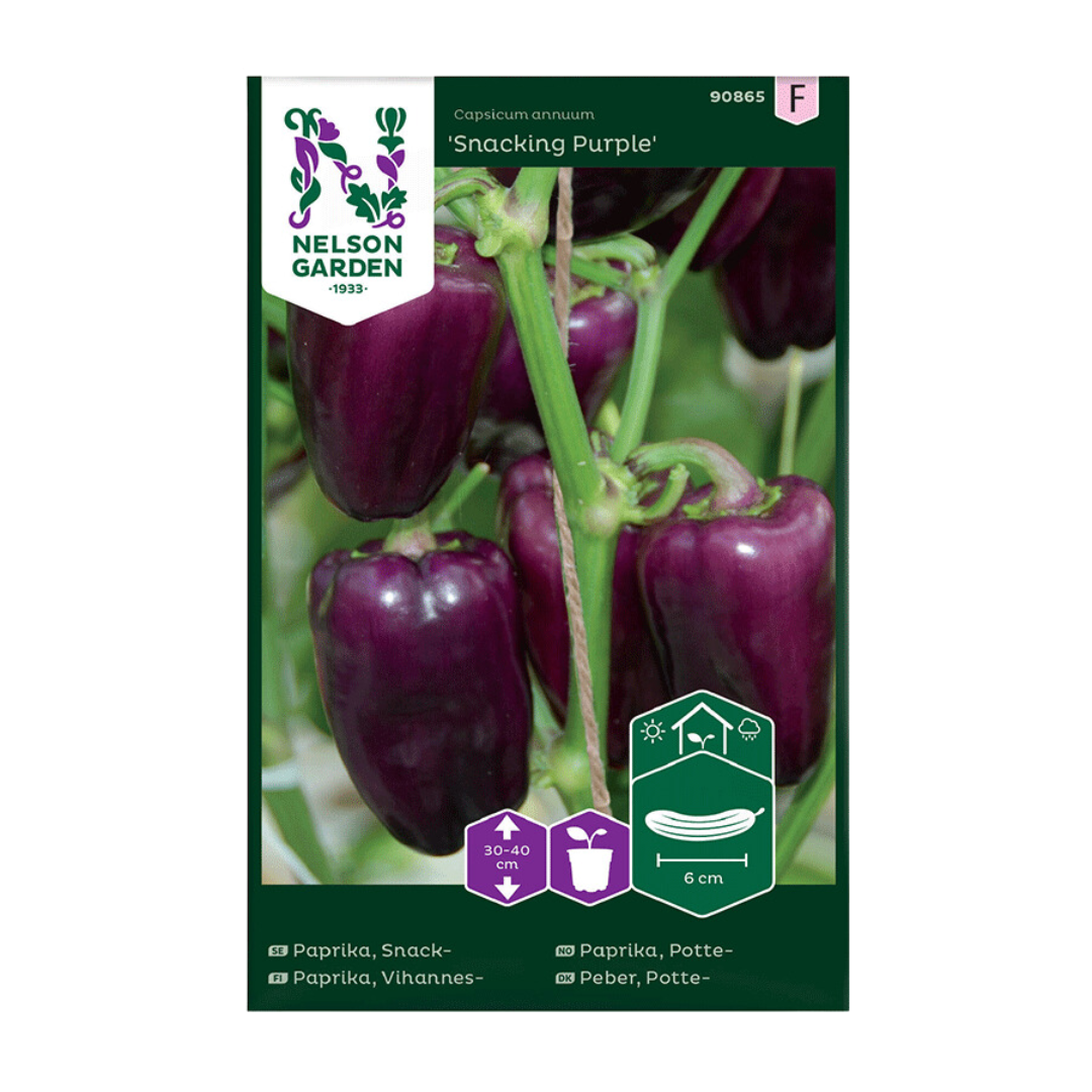 Snacking-Purple.png