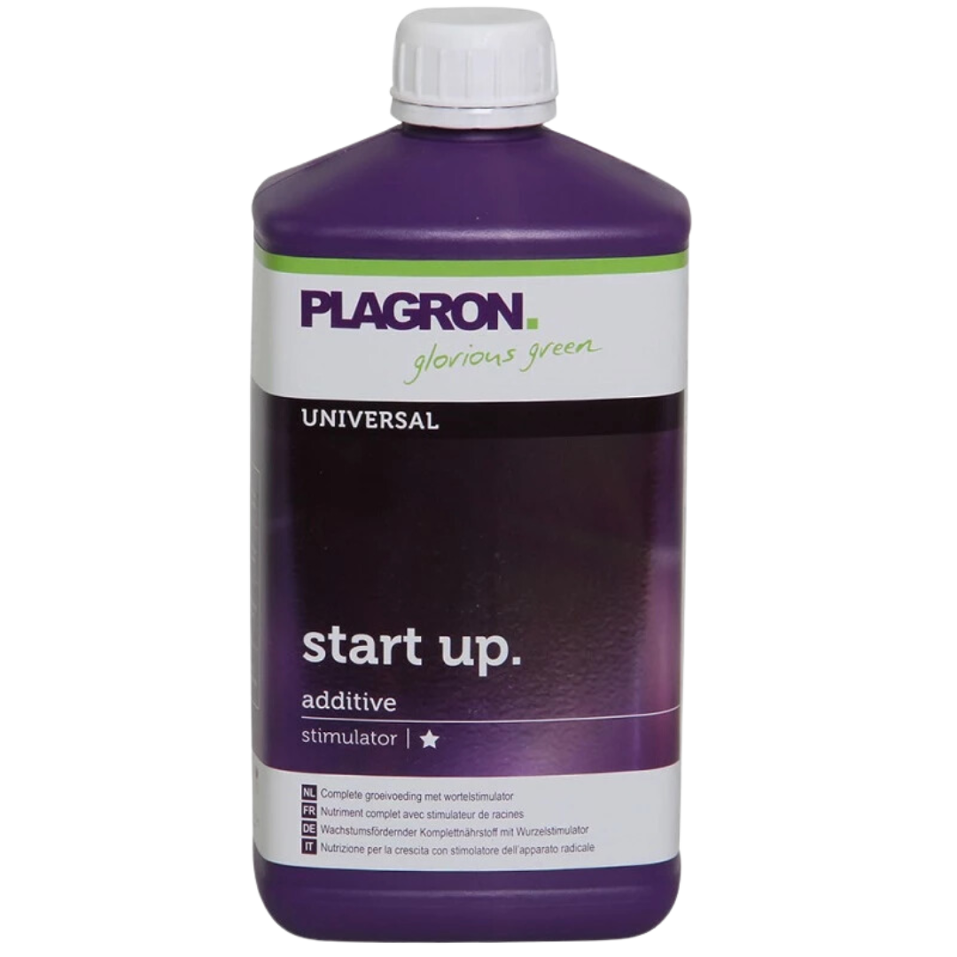 Start-up-1L.png