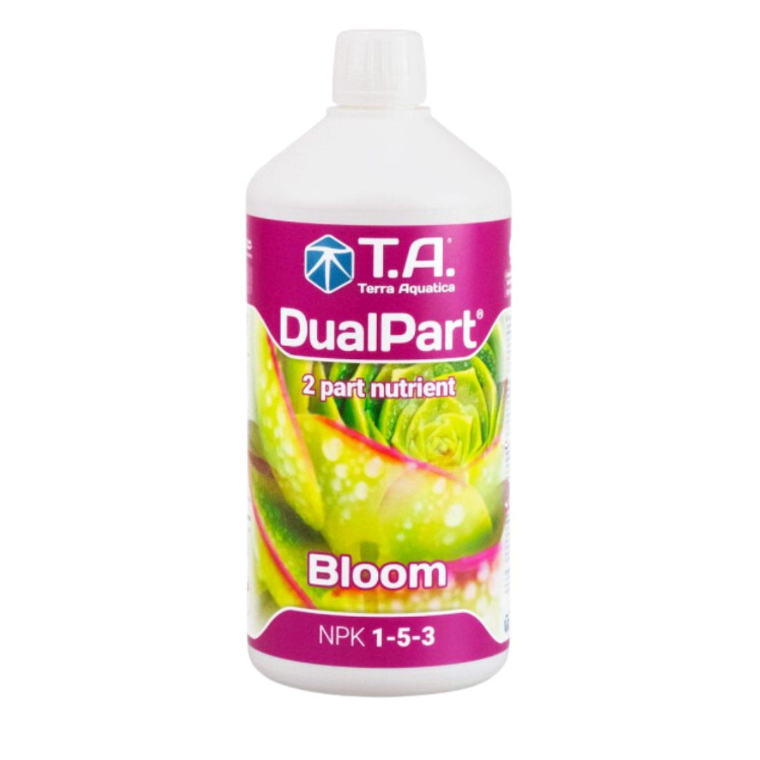 Terra-Aquatica-–-DualPart-Bloom.png
