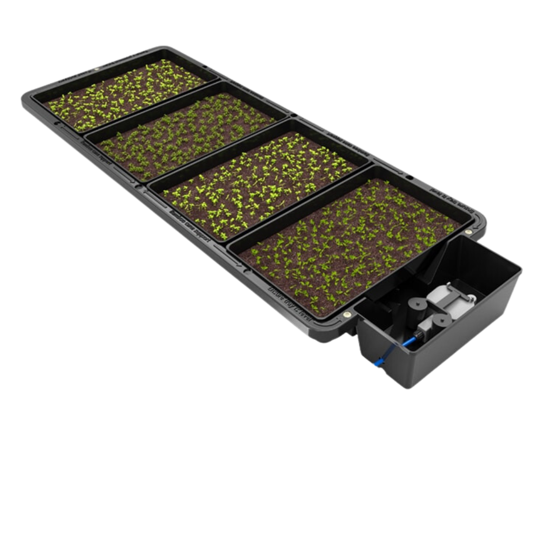 Tray2Grow.png