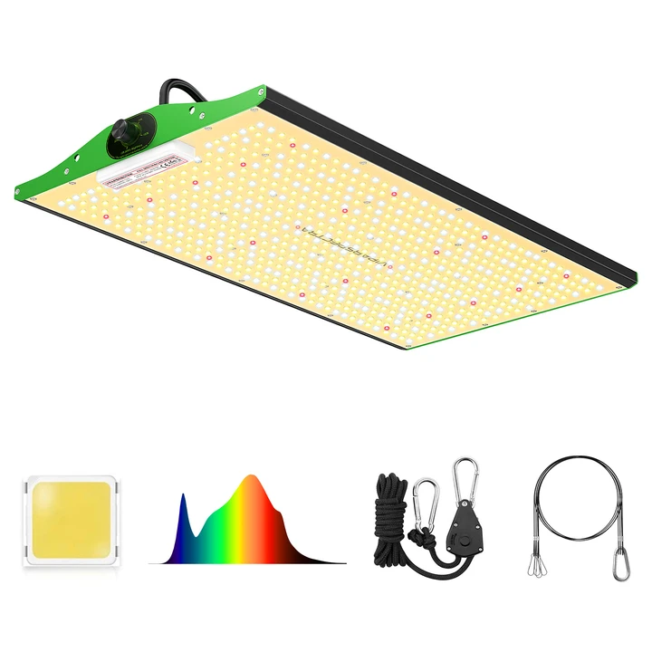 viparspectra-P2000-main_720x.webp