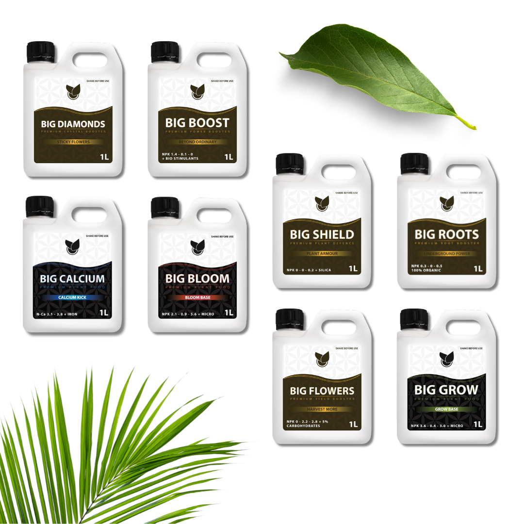 Komplet-Premium-Kit-–-Big-Plant-Science-ny-.png