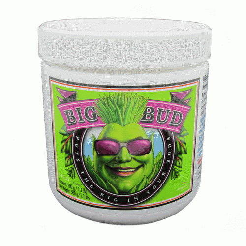 bigbud_powder.gif