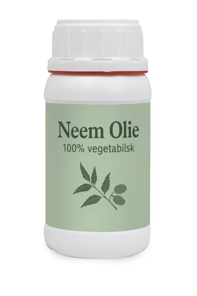 neem11-683x1024