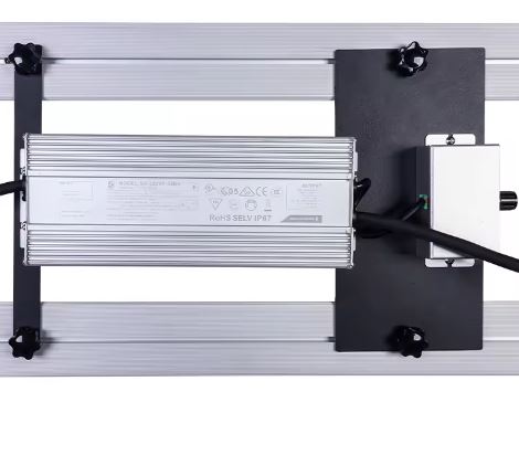 320w-3.jpg