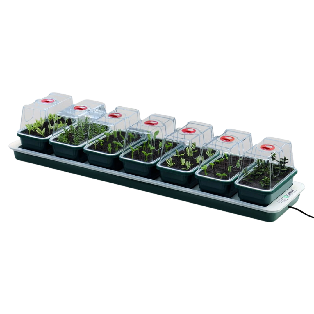 Garland-–-Super7-opvarmet-Propagator.png