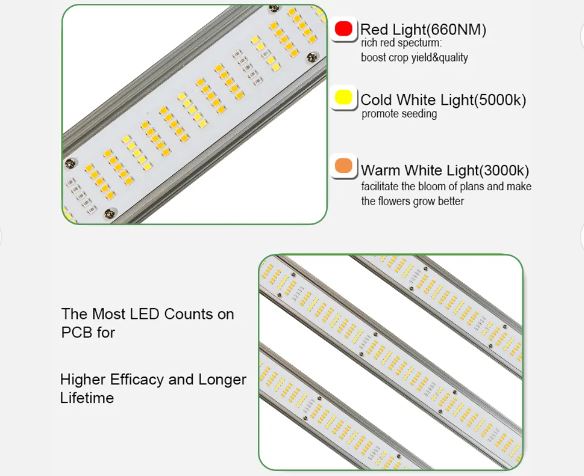 koni-light-2.jpg