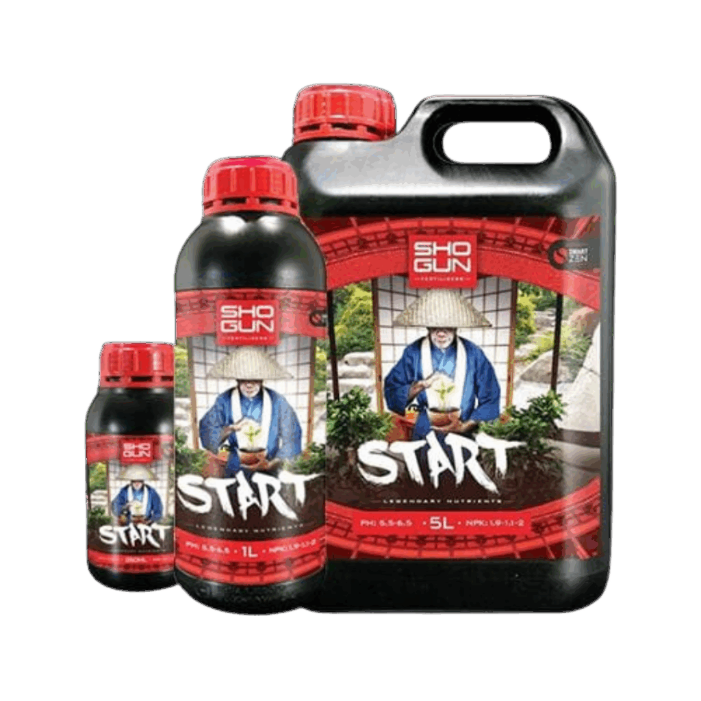 SHOGUN - Start