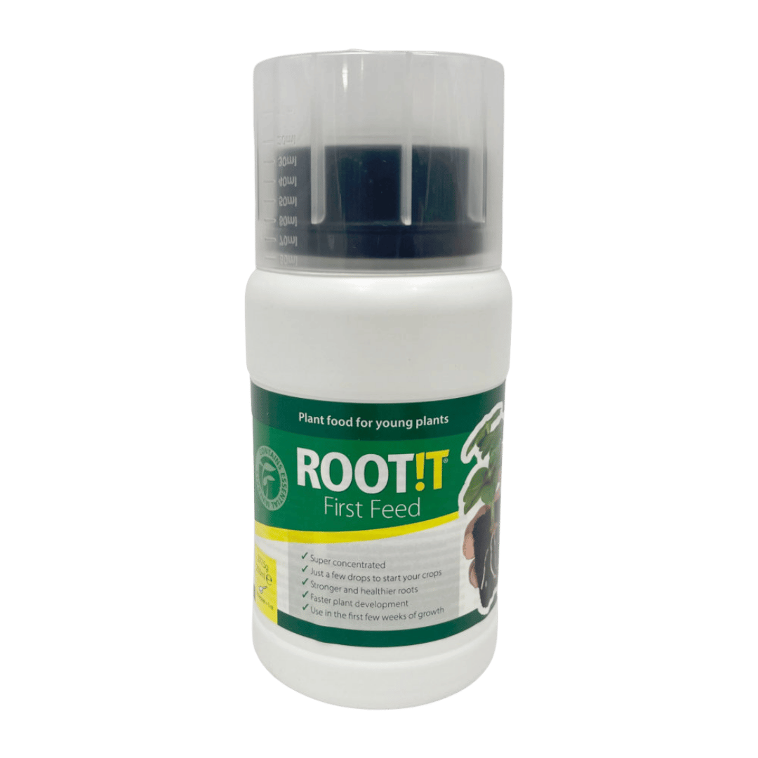 First-feed-–-Rootit.png