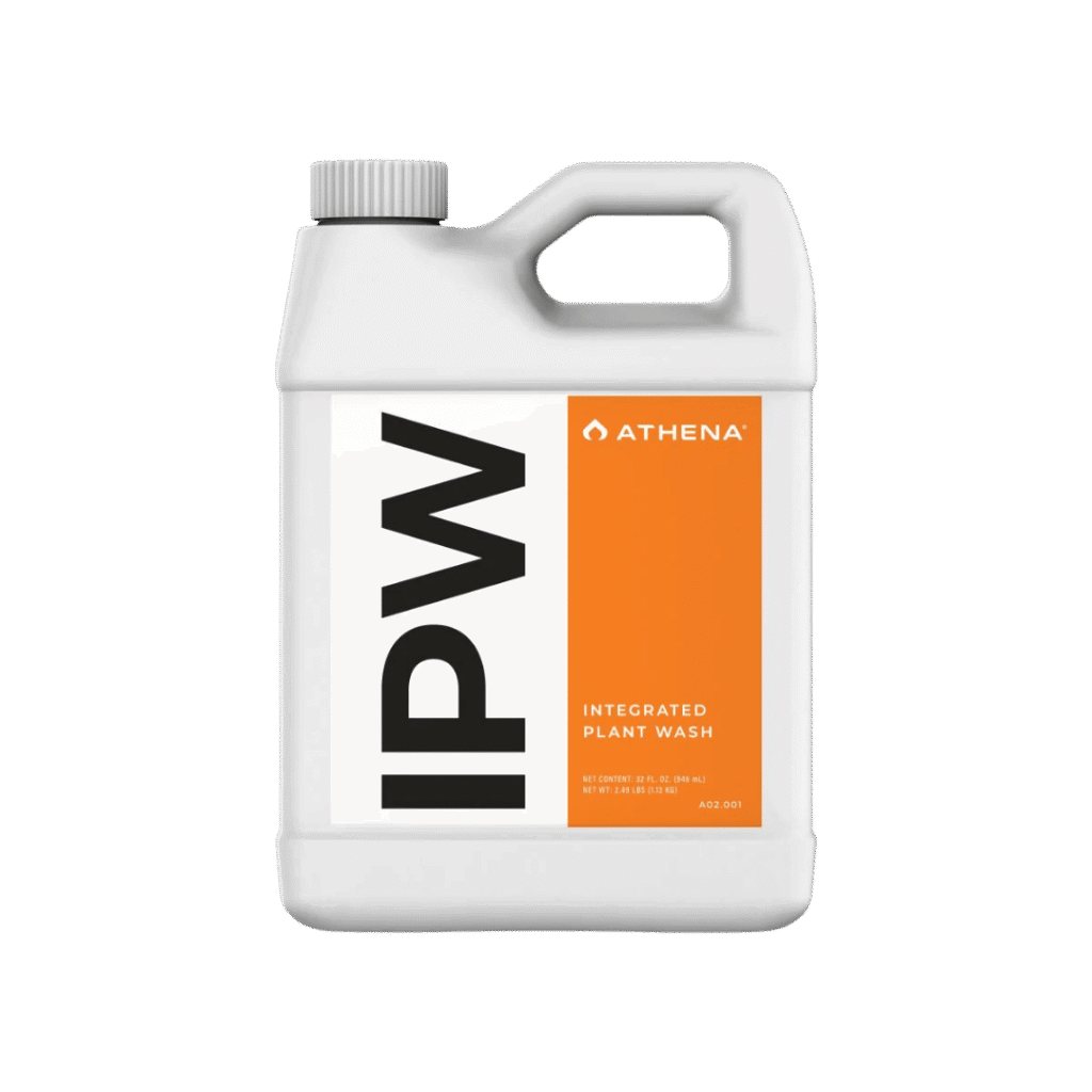 IPW