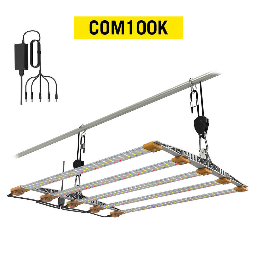 COM100K.png