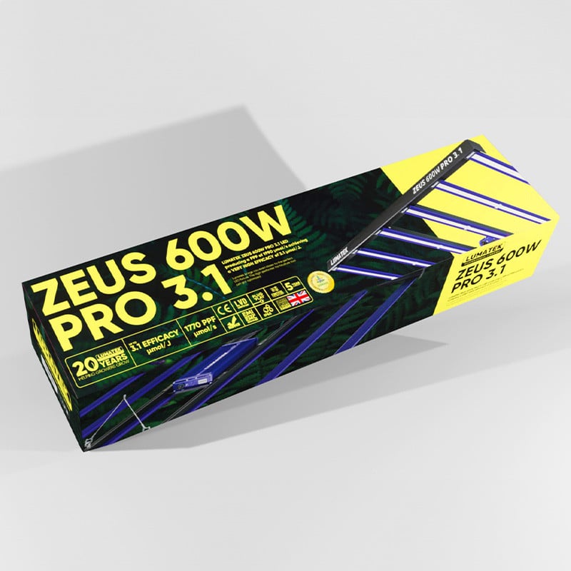 zeus3-1