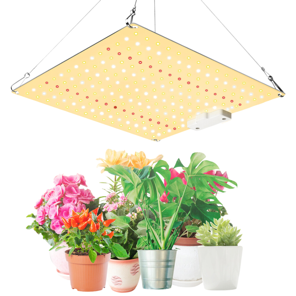 Ledlys vækst og blomst - 50W