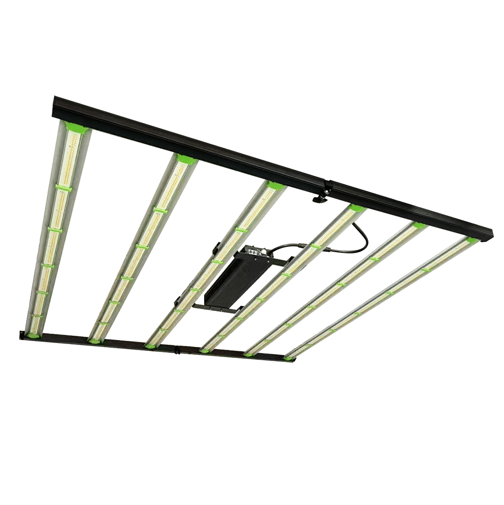 720W-6FE-2-3