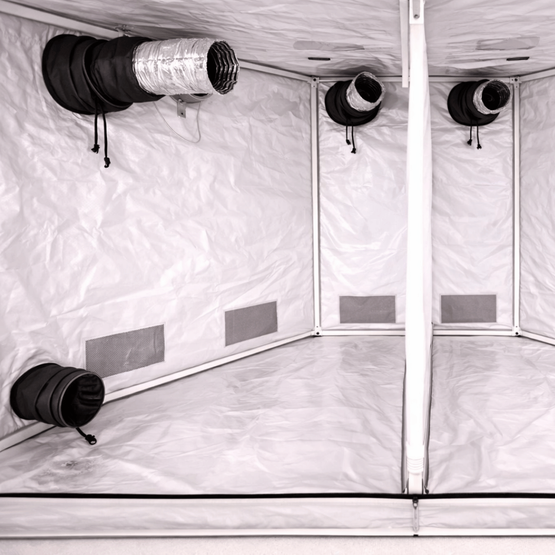 Grow-Tent-240x120x200-cm-600D-White-19-mm-staenger-3
