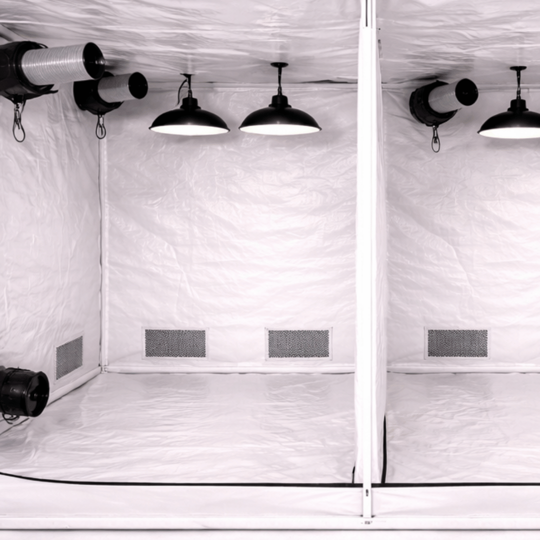 Grow-Tent-300x150x200-cm-600D-White-19-mm-staenger-2
