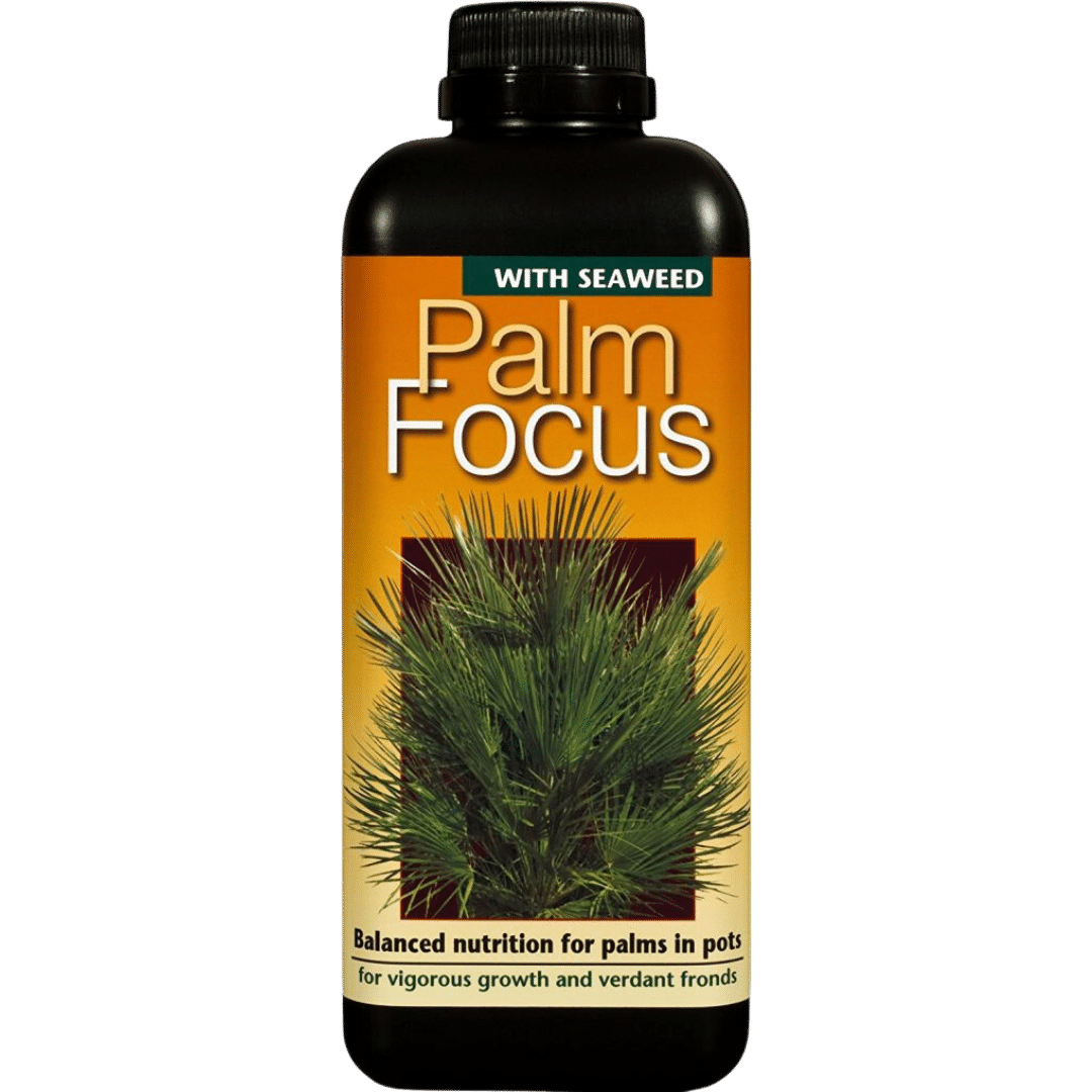 Palm-Focus-1L