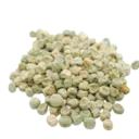 Microgreens frø