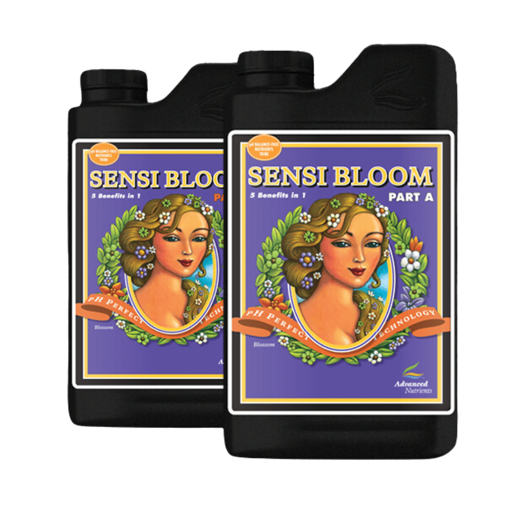 Sensi-Bloom-AB