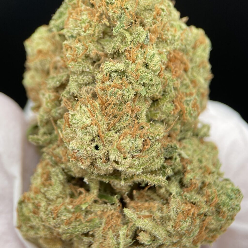 Amnesia Haze Reserve – 25% Premium Flower