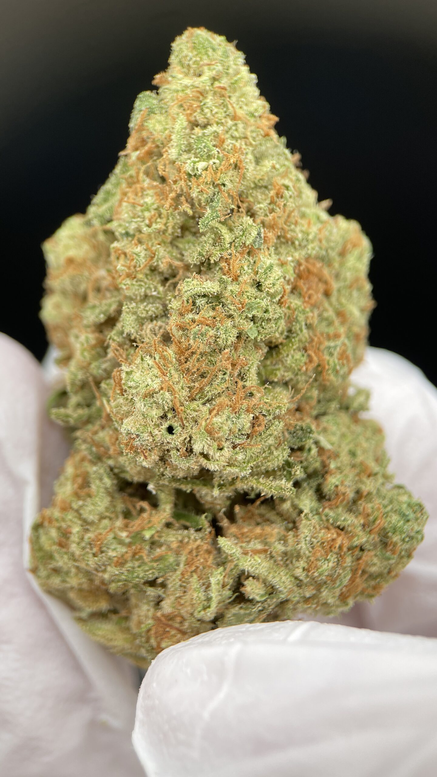 AMNESIA_HAZE_1-scaled-1