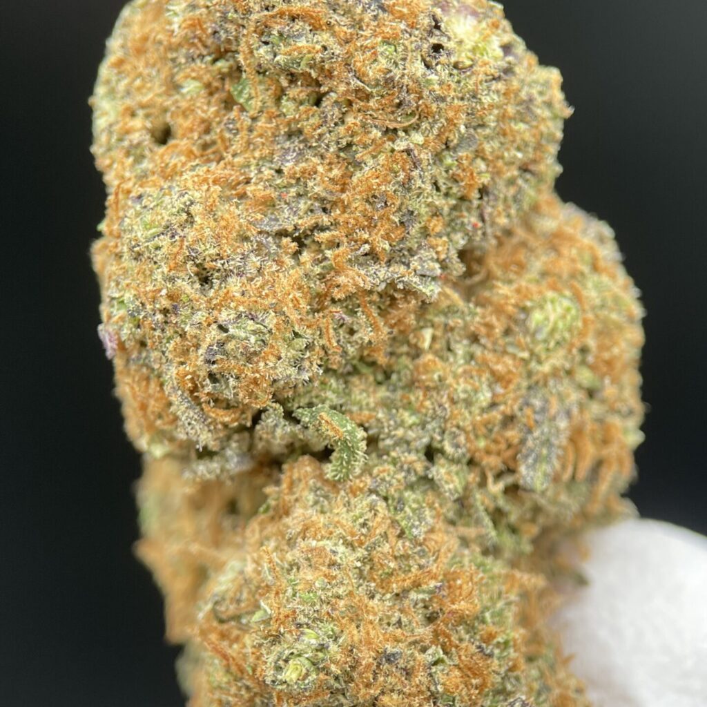 Purple Punch Reserve - 25 % Premium Flower