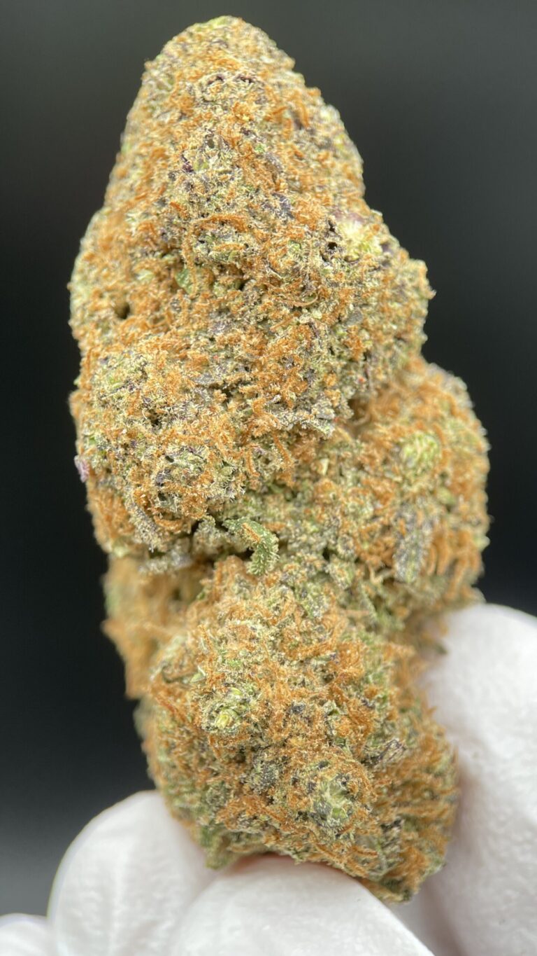 PURPLE_PUNCH_1-scaled-1