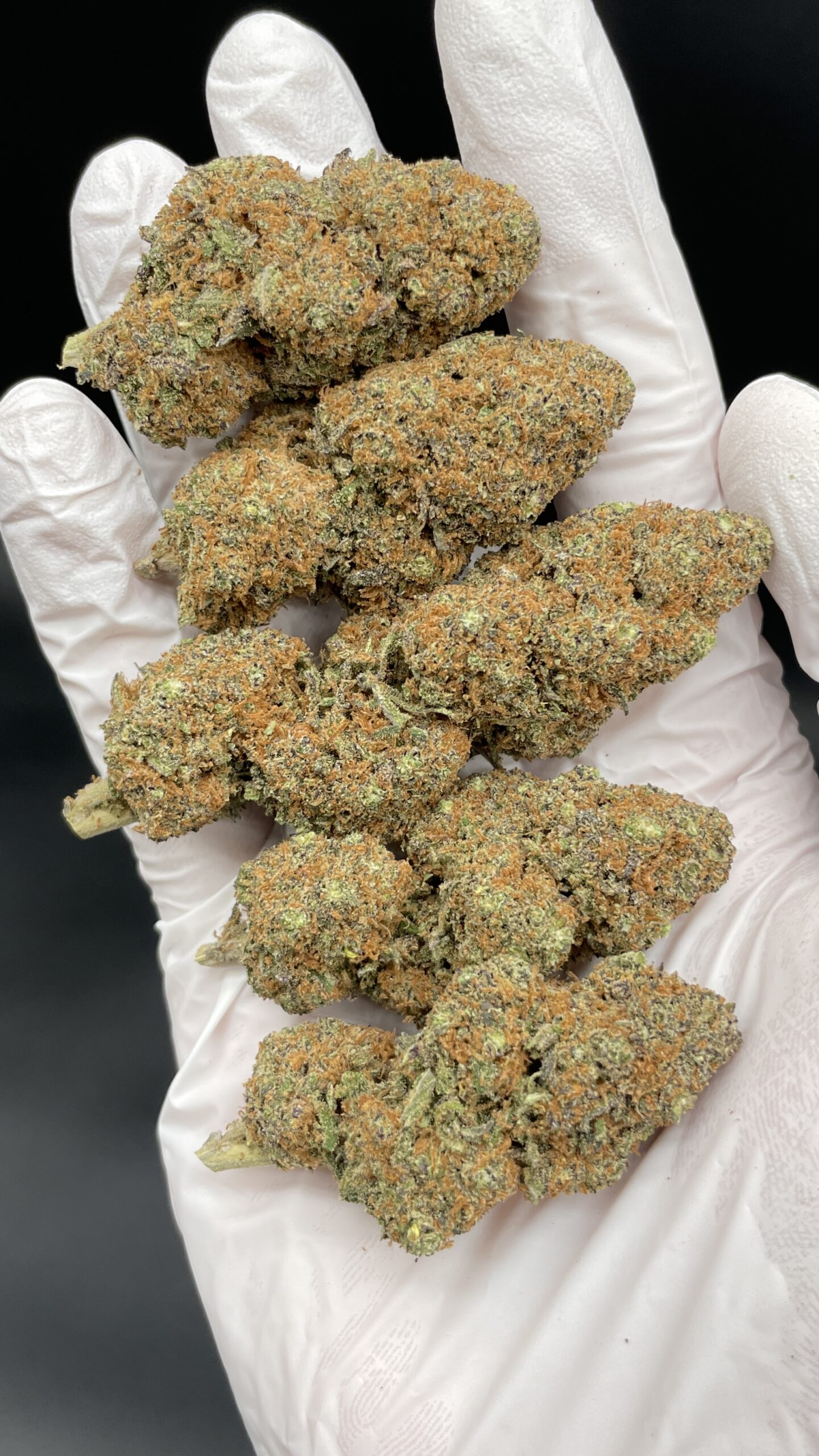 PURPLE_PUNCH_2-scaled-1